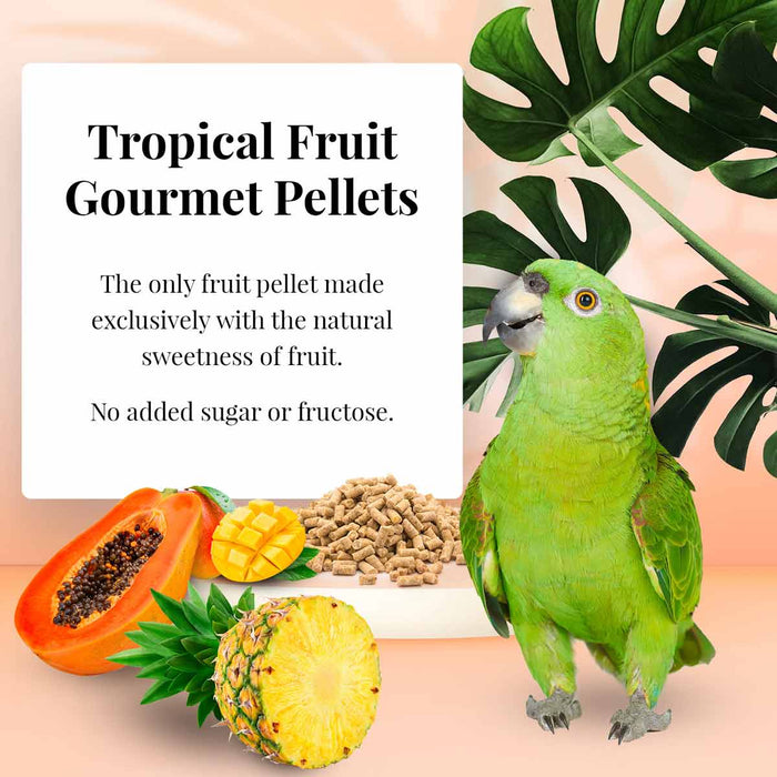 Lafeber Tropical Fruit Gourmet Pellets Parrot New York Bird Supply