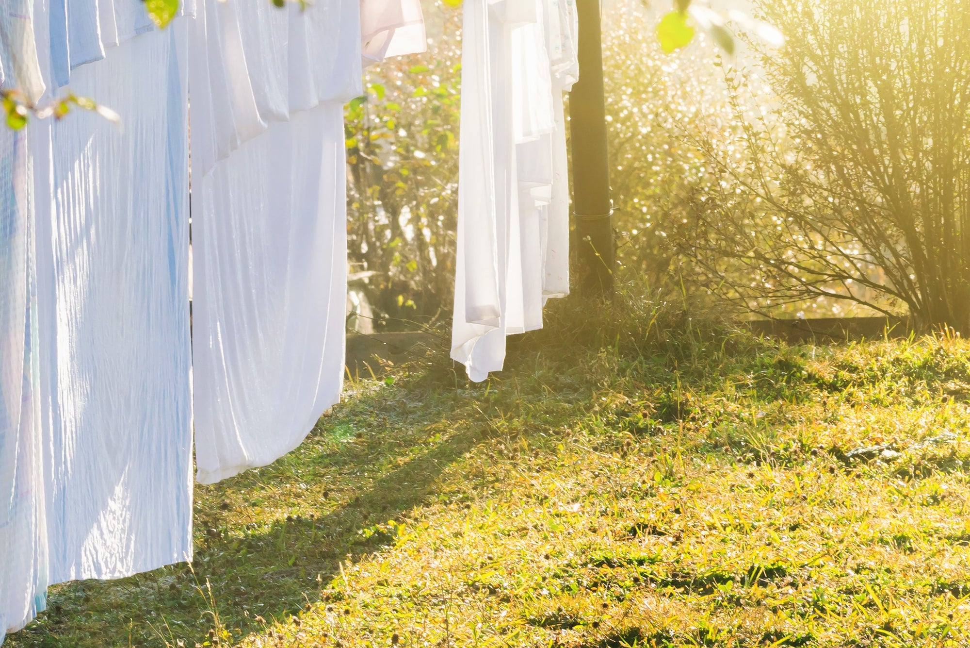 How To Wash Silk Thisissilk