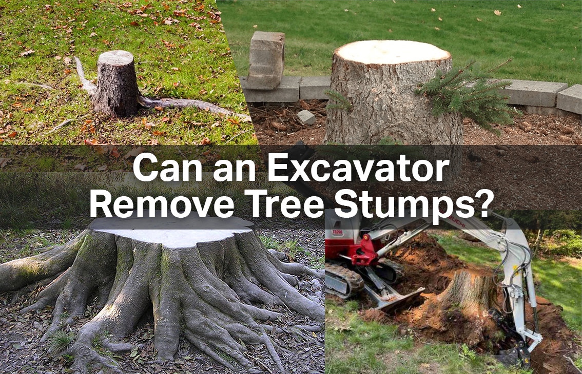 Can An Excavator Remove Tree Stumps Rhinox Group