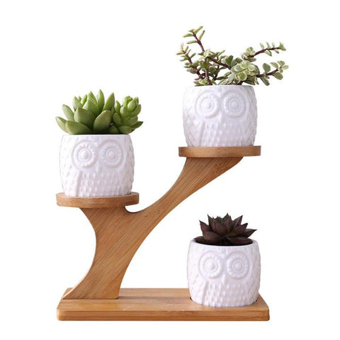 The best gifts for gardeners - sturdy watering cans, planters and other high-quality garden goods are the best gifts for gardeners #bestgiftsforgardeners #giftsforgardeners #gardengifts #gardengiftguide
