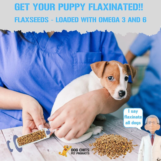 Lamb Flaxseed Dog Treats High Quality Dog Chews Dog Chits Pet Products