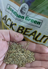 Black Beauty Ultra Grass Seed Jonathan Green
