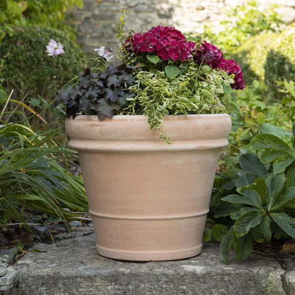 Extra Large Terracotta Pots Bordo 2 Sizes Gardenesque