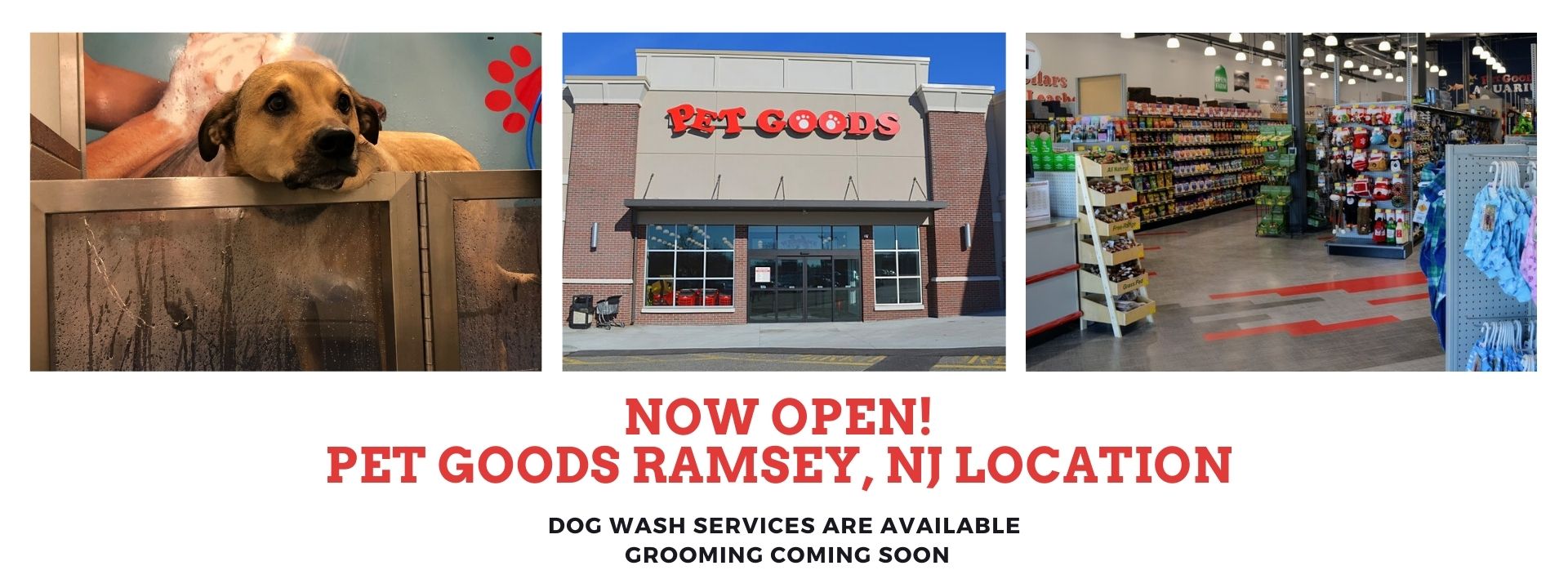 Pet Goods Pet Food Supplies And Accessories With Personal Service Paramus Nj Poughkipsee Ny Succasunna Nj Scarsdale Ny