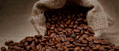 does coffee go bad