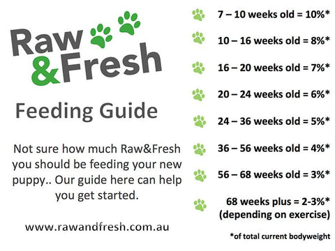How Much Raw Food Should I Feed My Dog