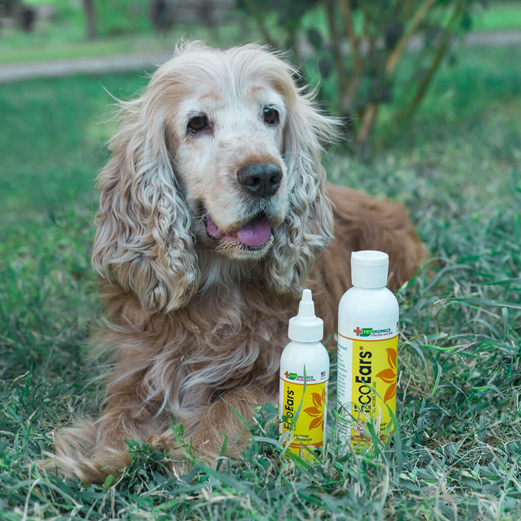 Ecoears Dog Ear Infection Formula Dog Ear Cleaner Vet Organics