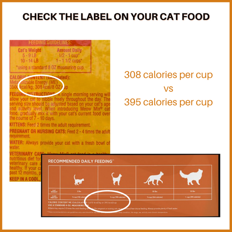 How Much Should I Feed My Cat Cat In The Box Llc