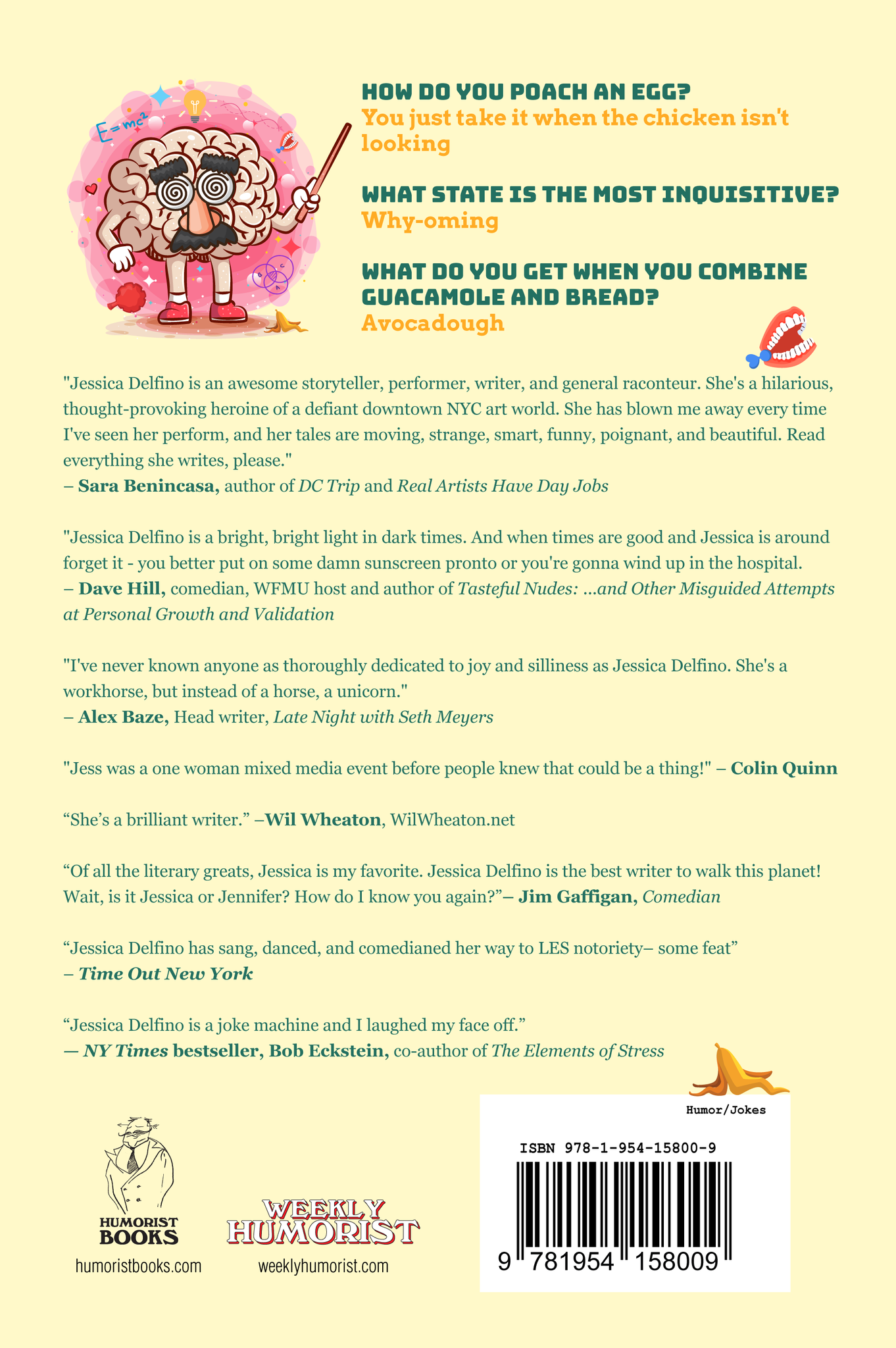 Dumb Jokes For Smart Folks By Jessica Delfino Humorist Shop