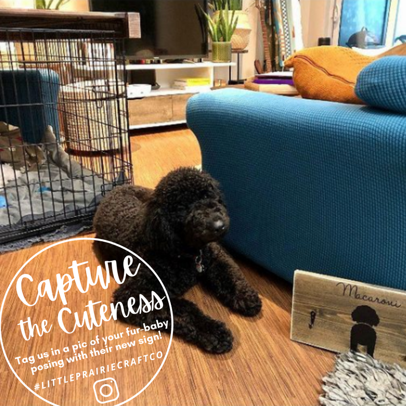 Personalized Farmhouse Style Doggie Butt Leash Holder Sign Little Prairie Craft Co