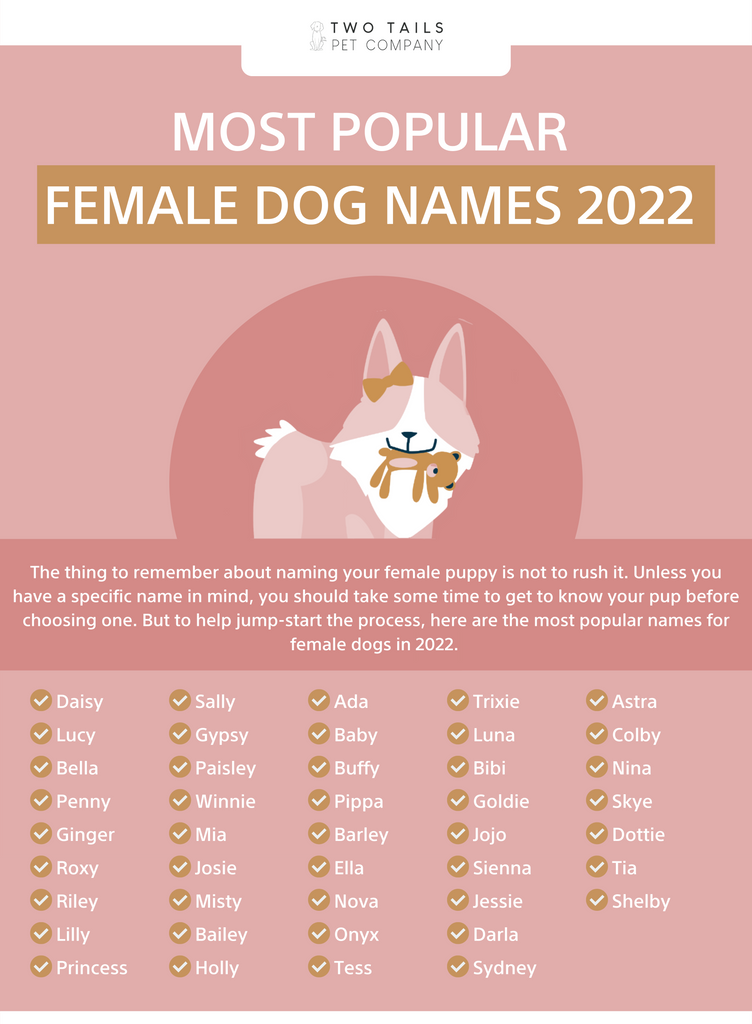 100 Best Girl Dog Names For 2022 Two Tails Pet Company