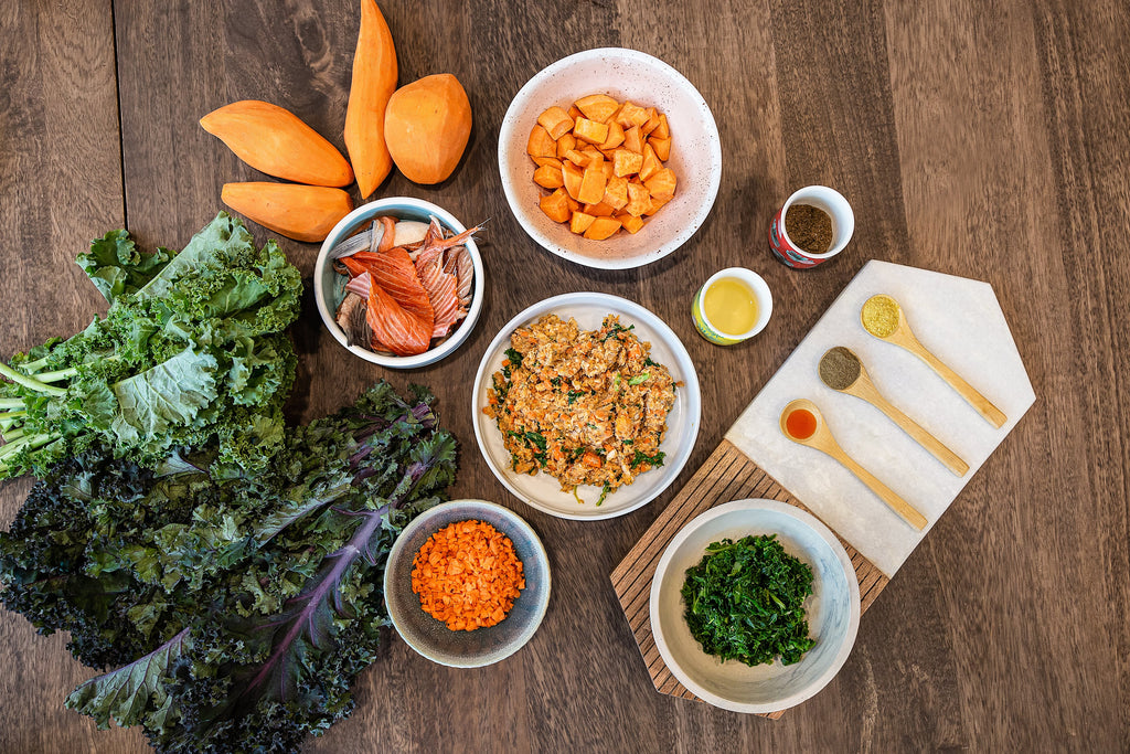 The Ultimate Guide To Homemade Dog Food