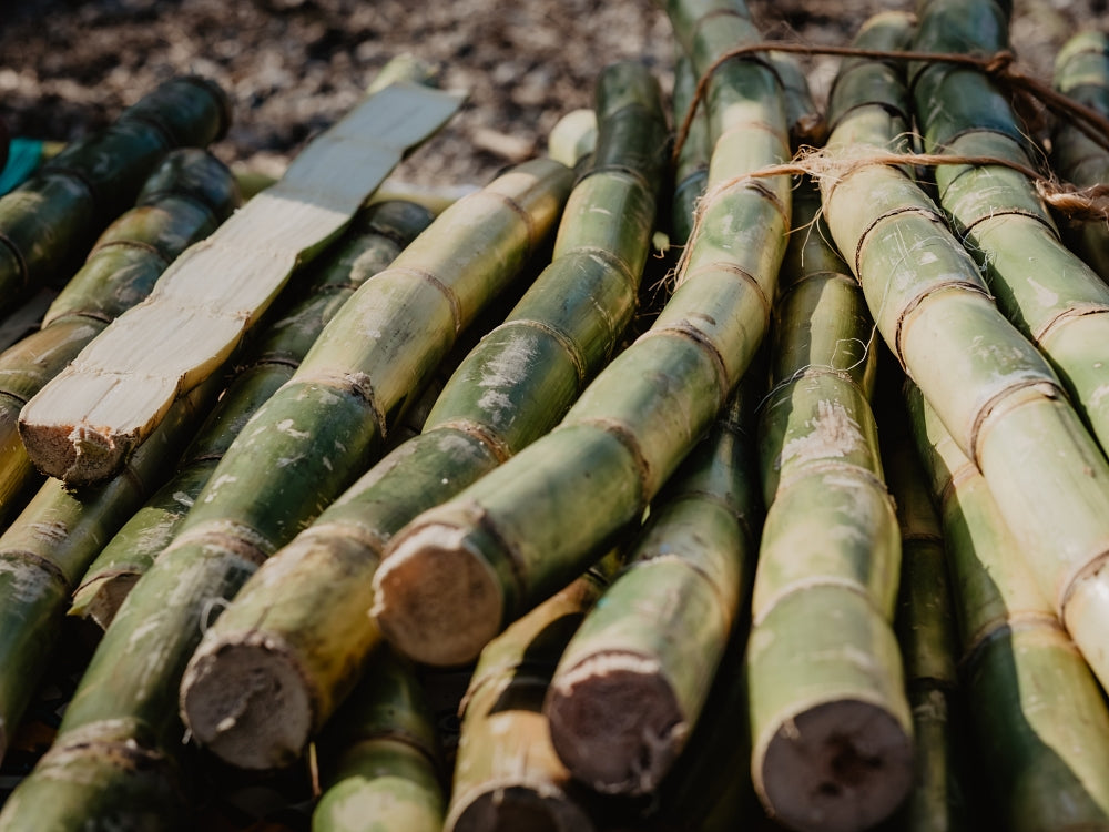 Does Monk Fruit Break A Fast Hydrant