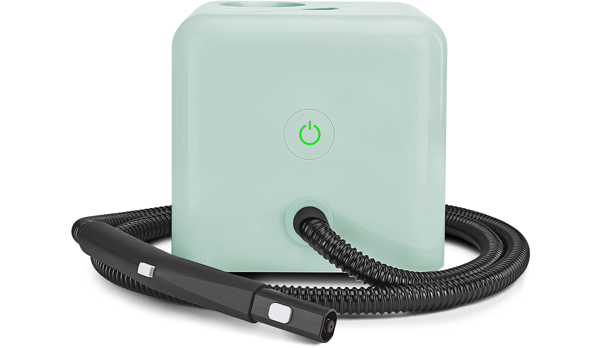 Neat™ Steam Cleaner variant mint