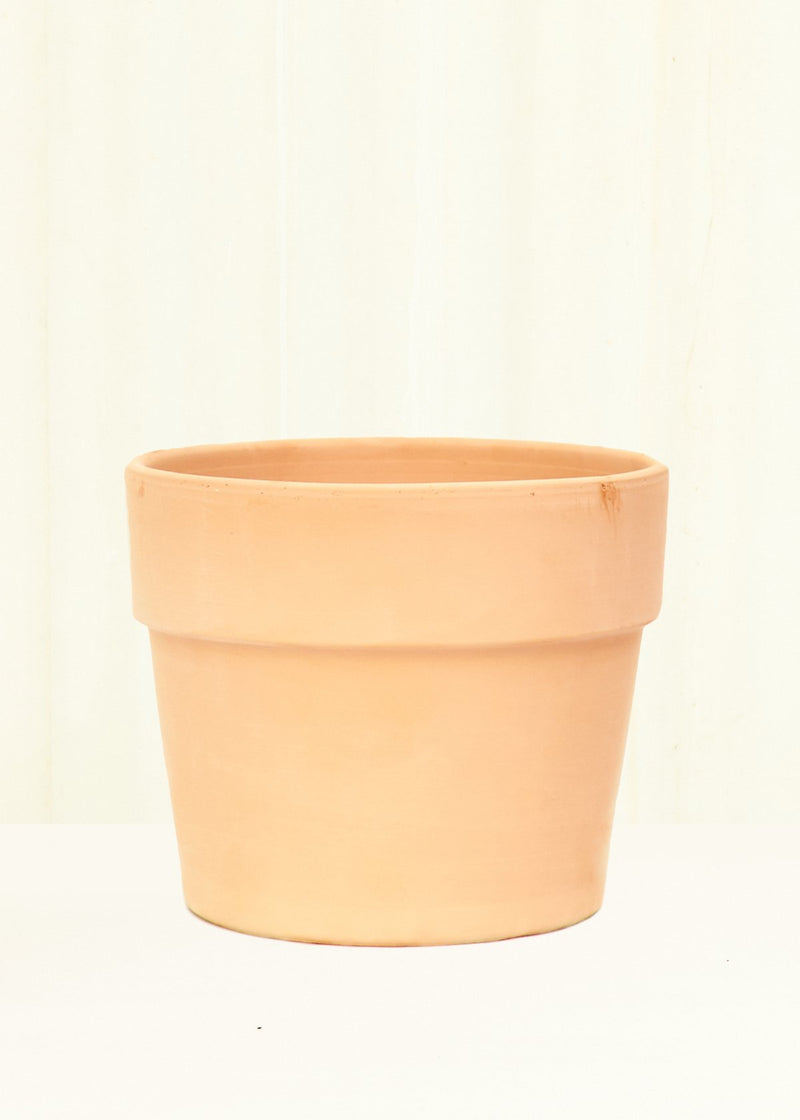 Terracotta Perfetto Cache Pot Rooted