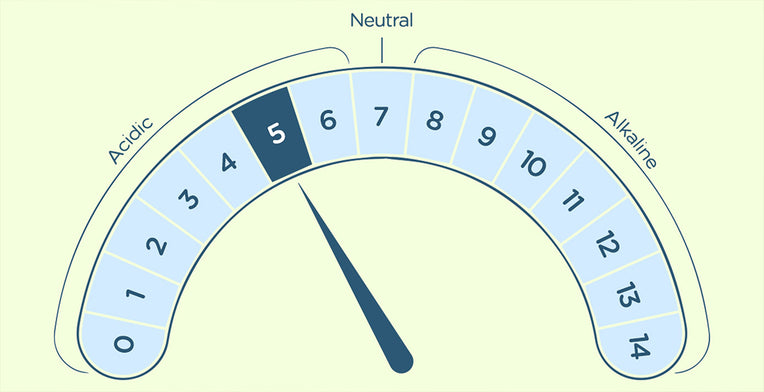What Is Ph Balance Why It S A Must While Washing Your Private Parts Spruce