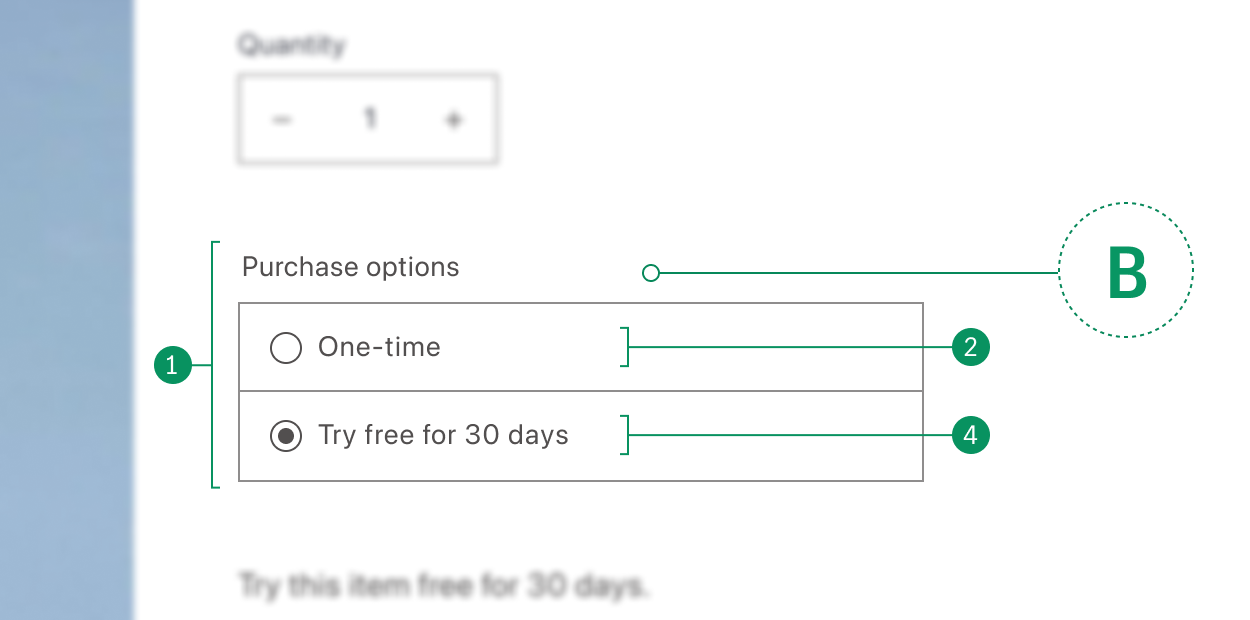 Selling plan selection for TBYB