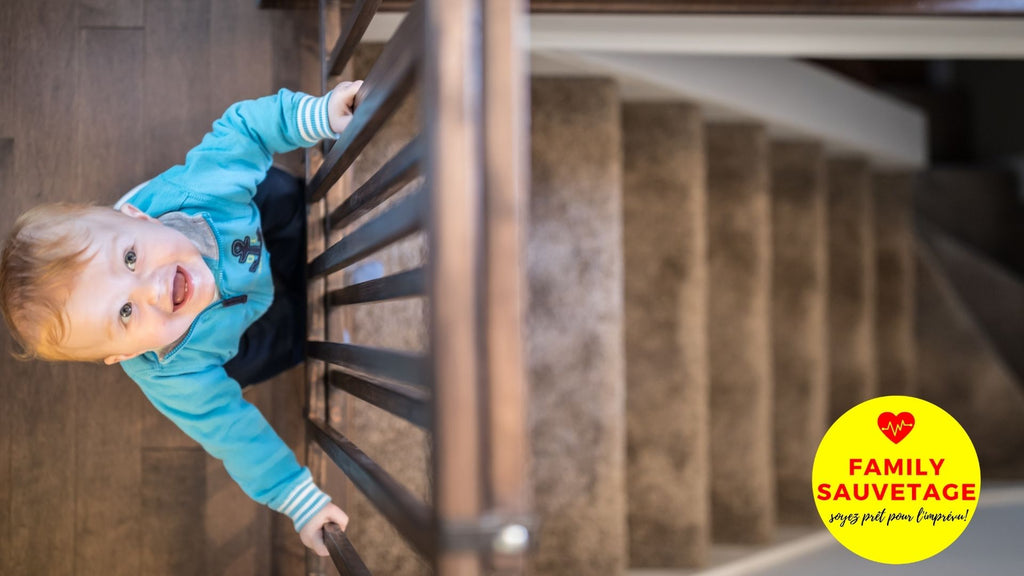 Comment Choisir Sa Barriere De Securite Pour Bebe Family Sauvetage