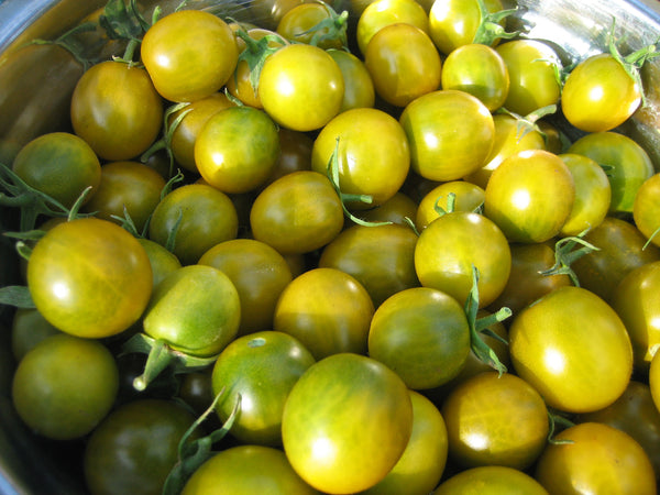 Green Grape Cherry Tomato Redwood Seeds
