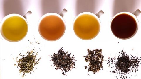 أنواع الشاي في العالم