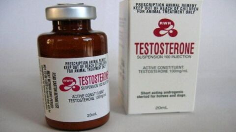 ما هو هرمون التستوستيرون