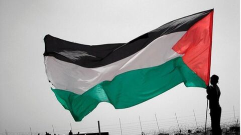ما هي حدود فلسطين