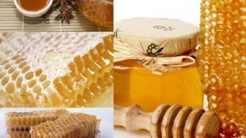 ما هي فوائد غذاء ملكات النحل