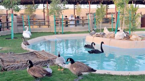 حديقة الحيوان في دبي