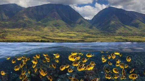 جزر هاواي والطبيعة الساحرة