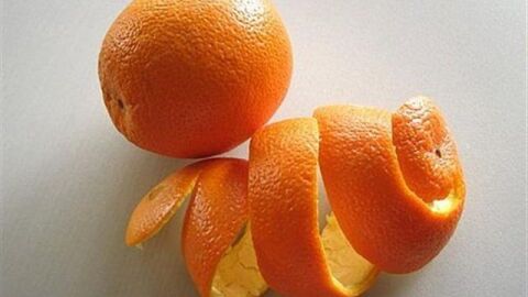 فوائد قشر البرتقال والليمون للبشرة