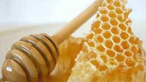 غذاء ملكات النحل للبشرة