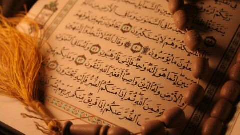 عدد السور في القرآن