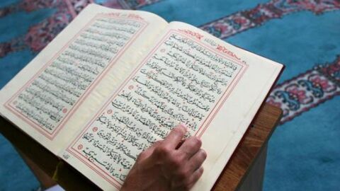 كم عدد سجدات التلاوة في القرآن
