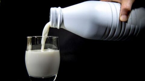 فوائد الحليب كامل الدسم