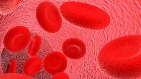 نقص الهيموجلوبين بالدم
