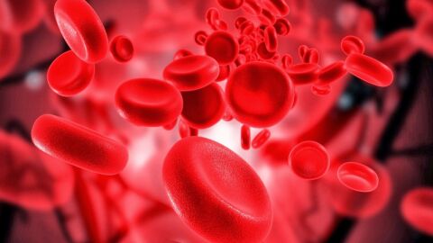 تأثير نقص أملاح الحديد في الدم