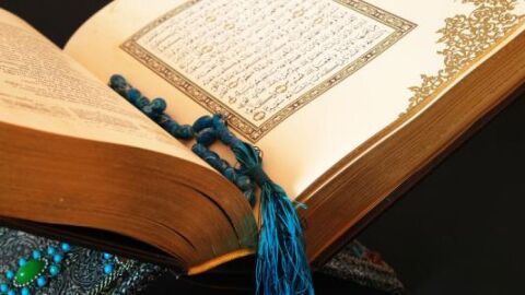 عدد السور المدنية في القرآن الكريم