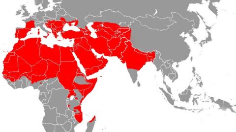 قيام الدولة الإسلامية وتوحيد العرب في عهد الرسول