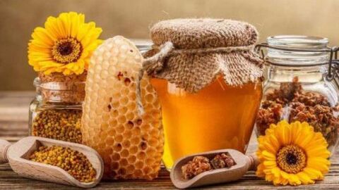 فوائد غذاء الملكات وحبوب اللقاح مع العسل