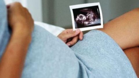 مراحل نمو الجنين في بطن الأم