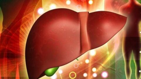 مراحل غيبوبة الكبد