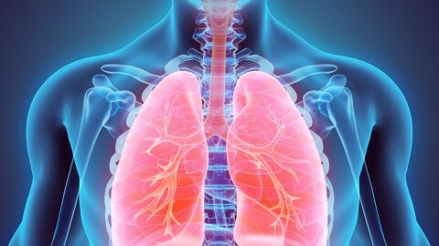 مكونات وتعريف الجهاز التنفسي