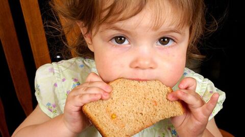 حساسية القمح عند الأطفال