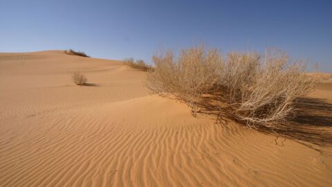 أكبر صحراء رملية في العالم