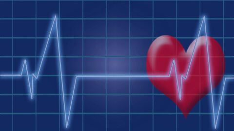 بحث عن تخطيط القلب