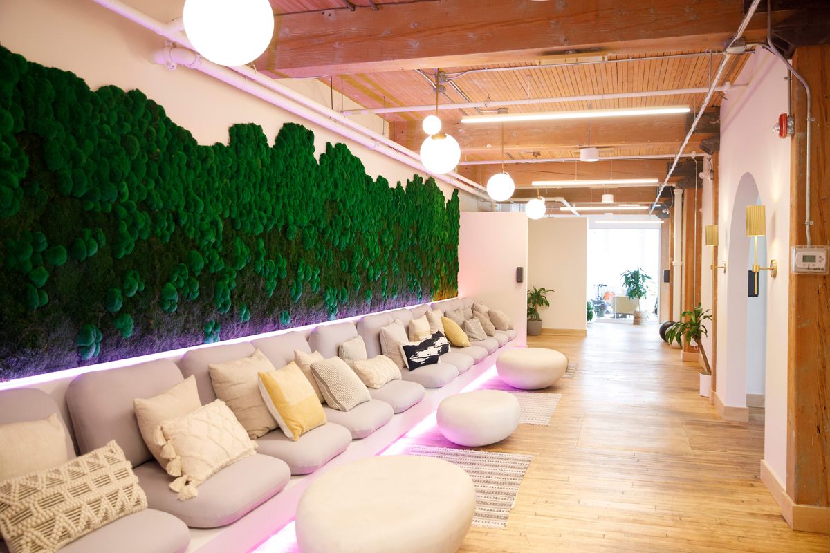 The interior of a Field Trip clinic featuring floor cushions and a live moss wall.