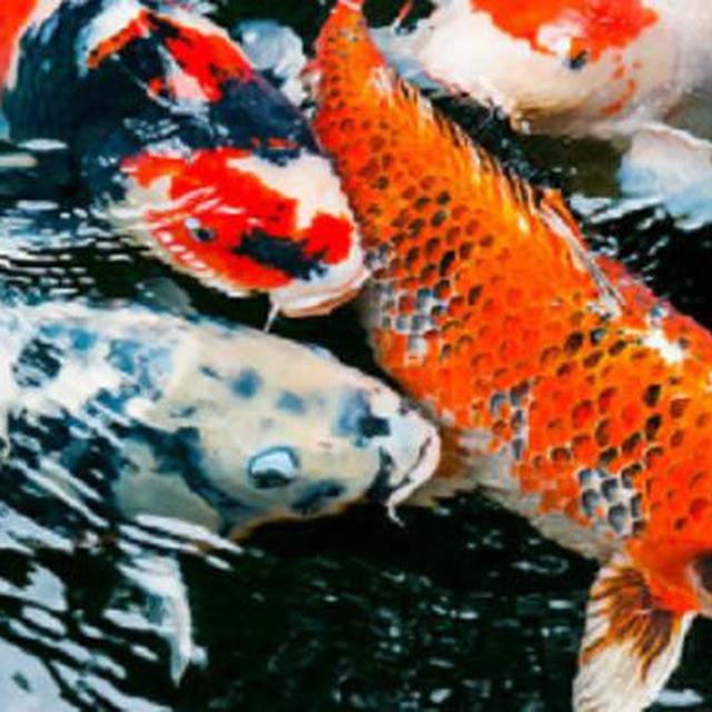 8 Benda Di Dalam Rumah Yang Dipercaya Bikin Anda Hoki Berat, Lukisan buah buahan atas meja