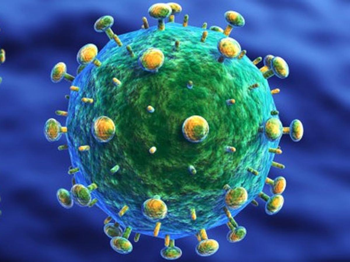 23 4 1984 Pertama Kali Virus Aids Terdeteksi Global Liputan6 Com