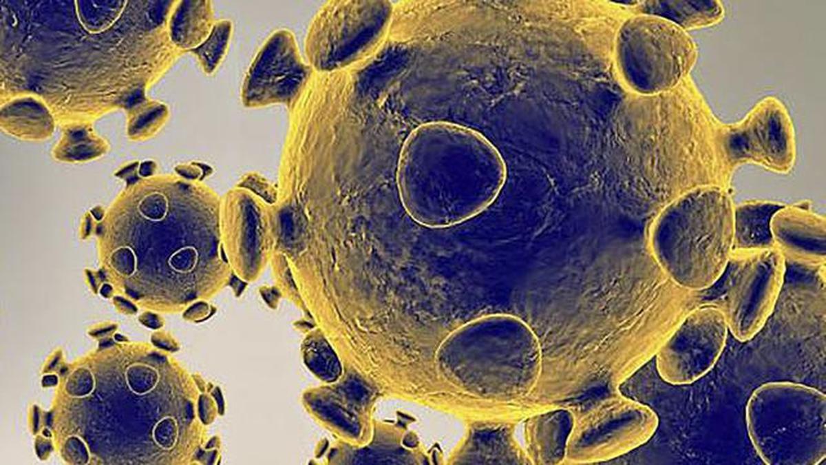Berita Virus Omicron Hari Ini Kabar Terbaru Terkini Liputan6 Com