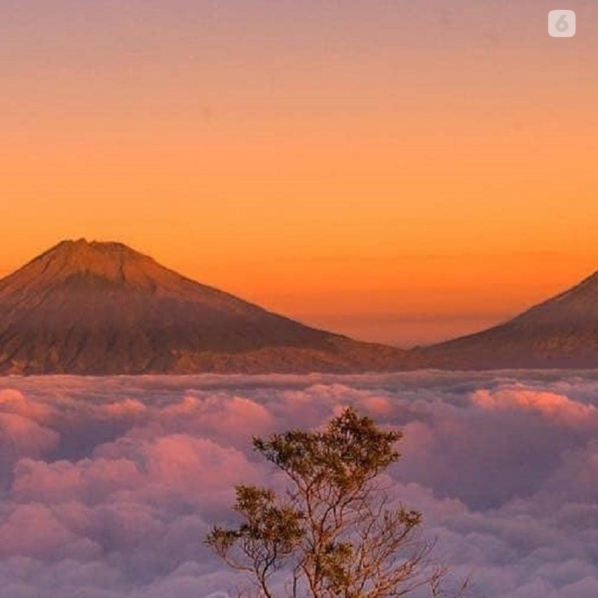 15 Wisata Alam Semarang Terpopuler Dengan Pemandangan Menakjubkan Hot Liputan6 Com